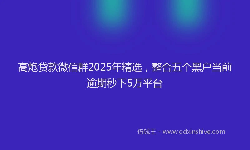 高炮贷款微信群2025年精选，整合五个黑户当前逾期秒下5万平台