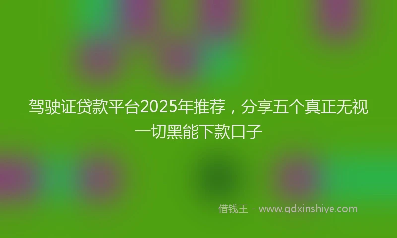 驾驶证贷款平台2025年推荐，分享五个真正无视一切黑能下款口子
