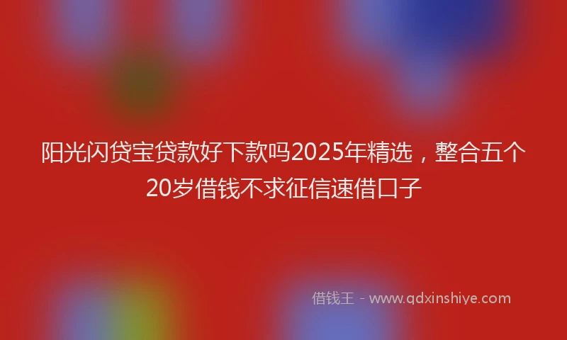 阳光闪贷宝贷款好下款吗2025年精选，整合五个20岁借钱不求征信速借口子