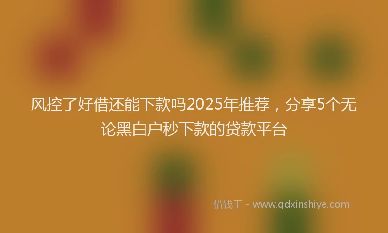 风控了好借还能下款吗2025年推荐，分享5个无论黑白户秒下款的贷款平台
