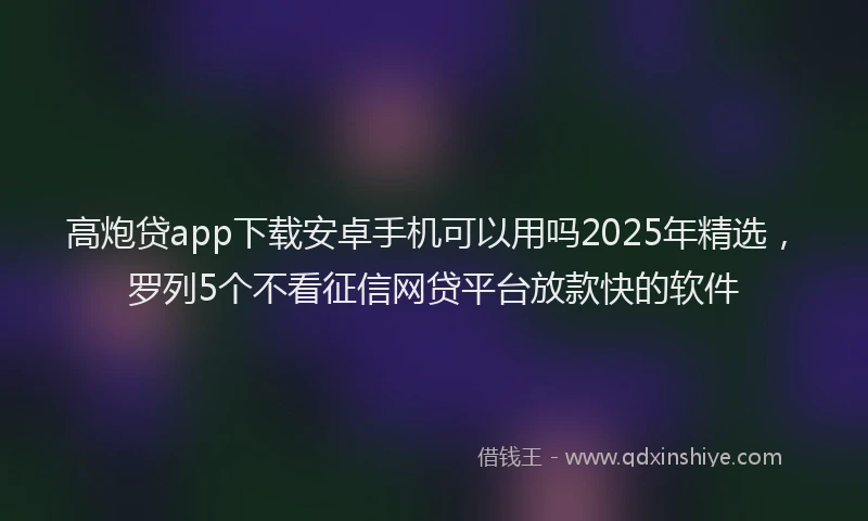 高炮贷app下载安卓手机可以用吗2025年精选，罗列5个不看征信网贷平台放款快的软件