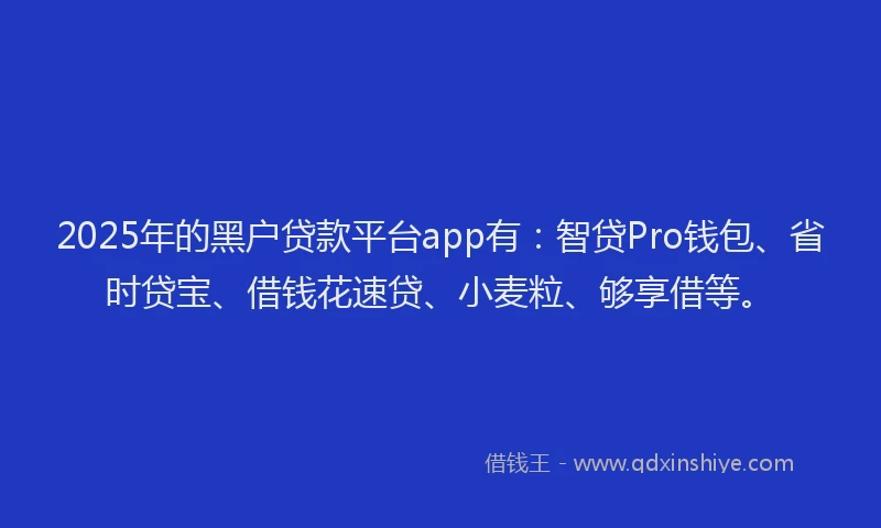 2025年的黑户贷款平台app有：智贷Pro钱包、省时贷宝、借钱花速贷、小麦粒、够享借等。