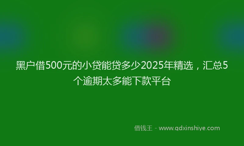 黑户借500元的小贷能贷多少2025年精选，汇总5个逾期太多能下款平台