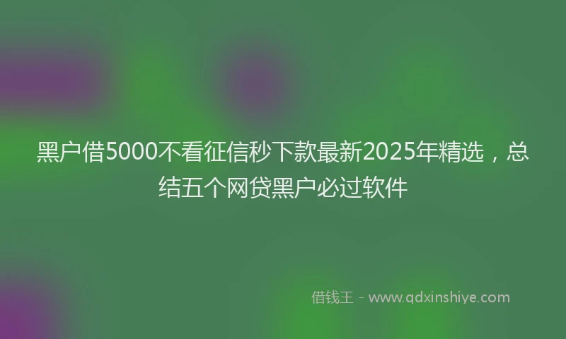 黑户借5000不看征信秒下款最新2025年精选，总结五个网贷黑户必过软件