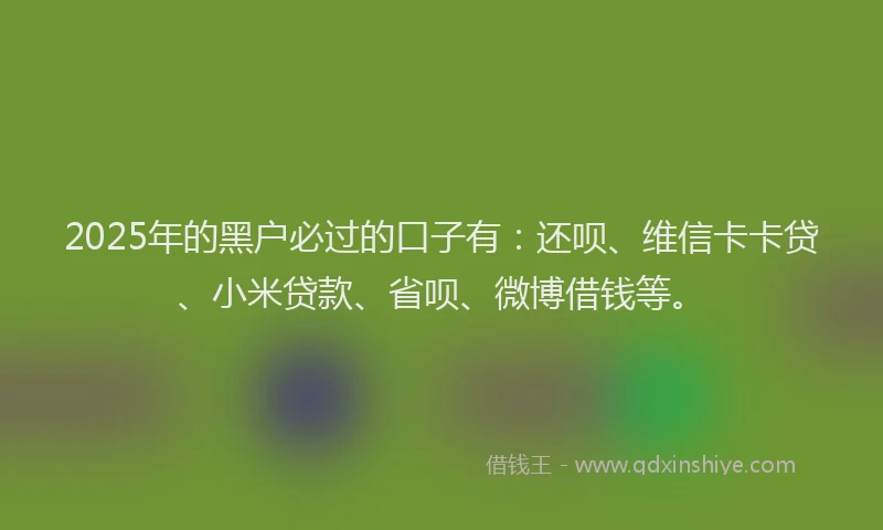 2025年的黑户必过的口子有：还呗、维信卡卡贷、小米贷款、省呗、微博借钱等。