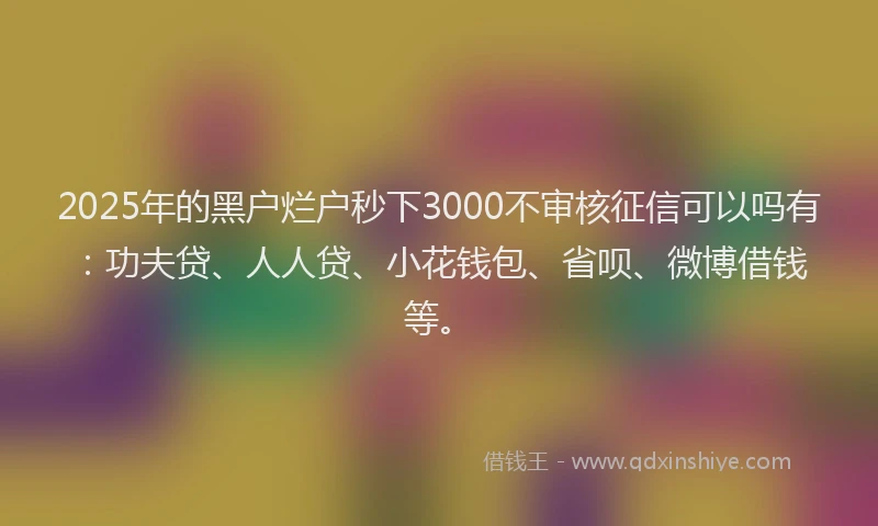 2025年的黑户烂户秒下3000不审核征信可以吗有：功夫贷、人人贷、小花钱包、省呗、微博借钱等。