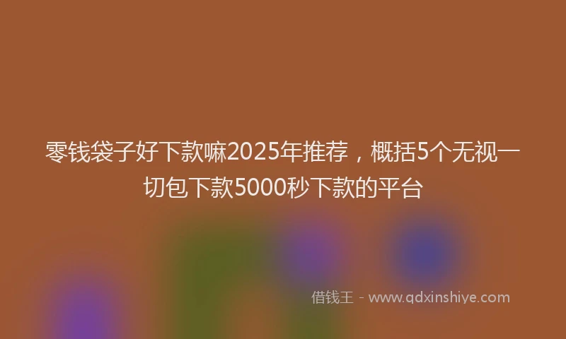 零钱袋子好下款嘛2025年推荐，概括5个无视一切包下款5000秒下款的平台