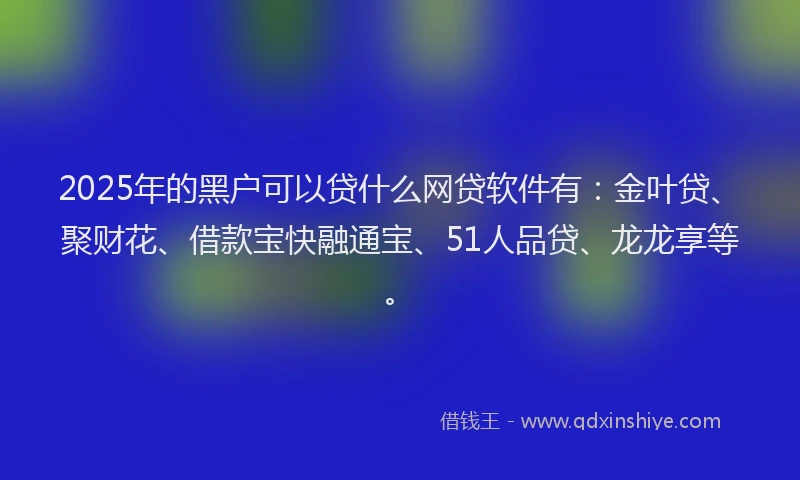 2025年的黑户可以贷什么网贷软件有：金叶贷、聚财花、借款宝快融通宝、51人品贷、龙龙享等。