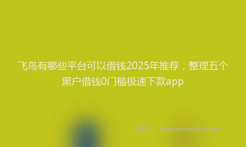 飞鸟有哪些平台可以借钱2025年推荐，整理五个黑户借钱0门槛极速下款app