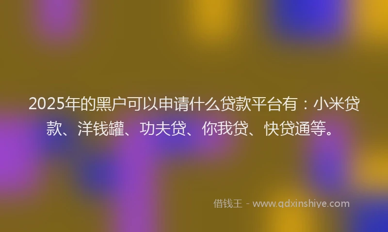 2025年的黑户可以申请什么贷款平台有：小米贷款、洋钱罐、功夫贷、你我贷、快贷通等。