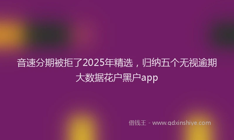音速分期被拒了2025年精选，归纳五个无视逾期大数据花户黑户app