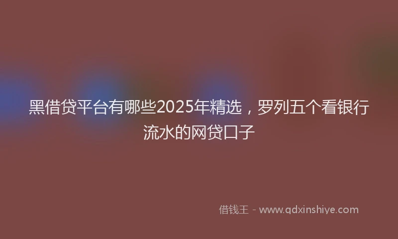 黑借贷平台有哪些2025年精选，罗列五个看银行流水的网贷口子