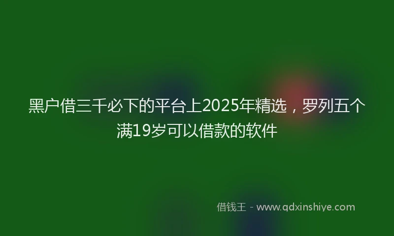 黑户借三千必下的平台上2025年精选，罗列五个满19岁可以借款的软件