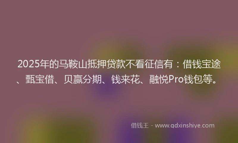 2025年的马鞍山抵押贷款不看征信有:借钱宝途、甄宝借、贝赢分期、钱来花、融悦Pro钱包等。