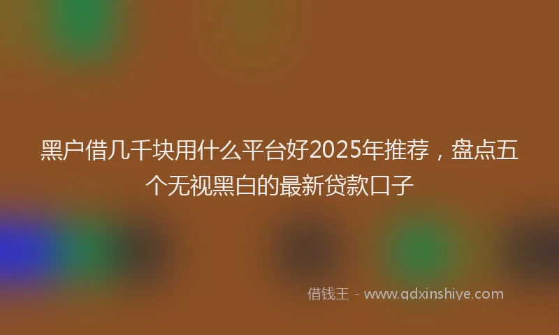 黑户借几千块用什么平台好2025年推荐，盘点五个无视黑白的最新贷款口子