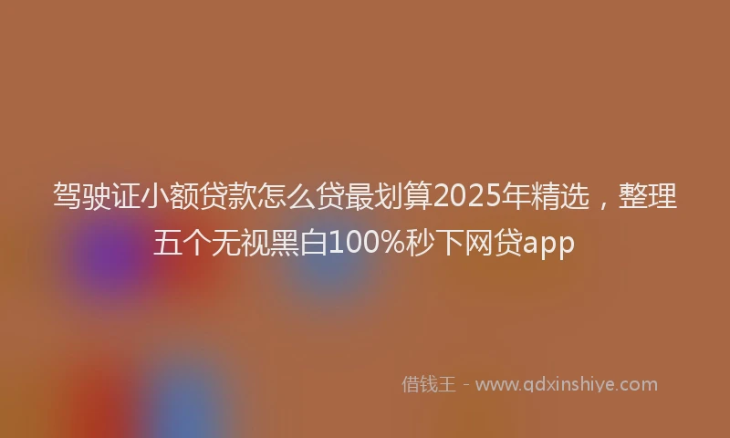 驾驶证小额贷款怎么贷最划算2025年精选，整理五个无视黑白100%秒下网贷app