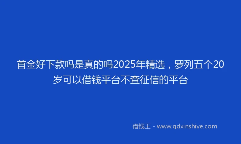 首金好下款吗是真的吗2025年精选，罗列五个20岁可以借钱平台不查征信的平台
