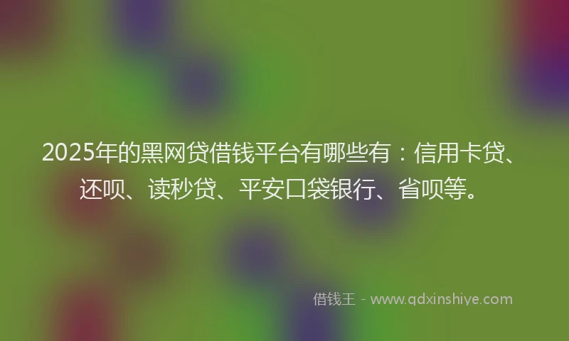 2025年的黑网贷借钱平台有哪些有:信用卡贷、还呗、读秒贷、平安口袋银行、省呗等。