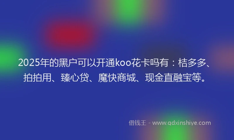 2025年的黑户可以开通koo花卡吗有：桔多多、拍拍用、臻心贷、魔快商城、现金直融宝等。