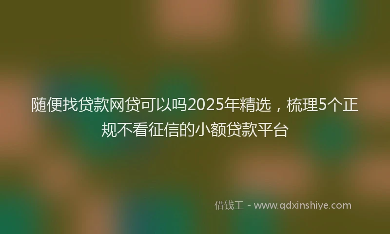 随便找贷款网贷可以吗2025年精选，梳理5个正规不看征信的小额贷款平台