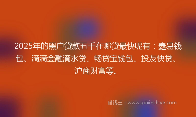 2025年的黑户贷款五千在哪贷最快呢有：鑫易钱包、滴滴金融滴水贷、畅贷宝钱包、投友快贷、沪商财富等。