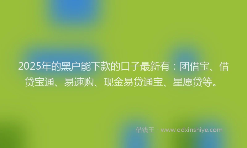 2025年的黑户能下款的口子最新有：团借宝、借贷宝通、易速购、现金易贷通宝、星愿贷等。