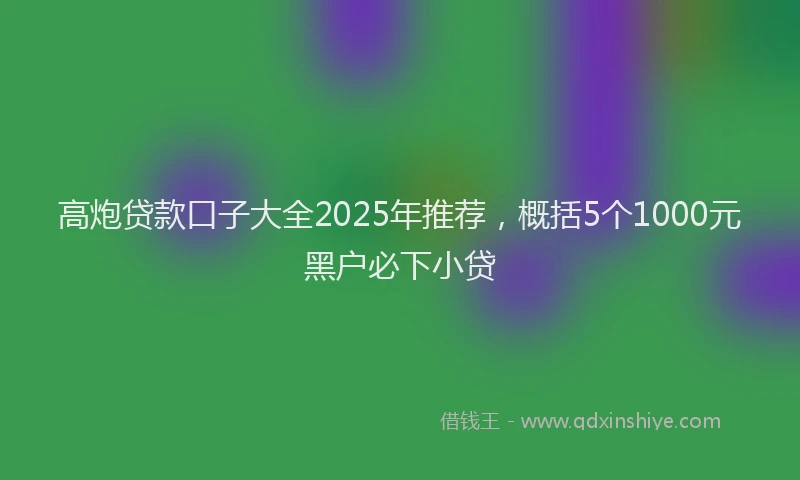 高炮贷款口子大全2025年推荐，概括5个1000元黑户必下小贷