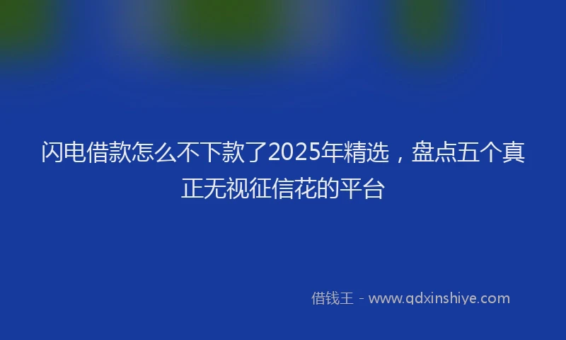 闪电借款怎么不下款了2025年精选，盘点五个真正无视征信花的平台