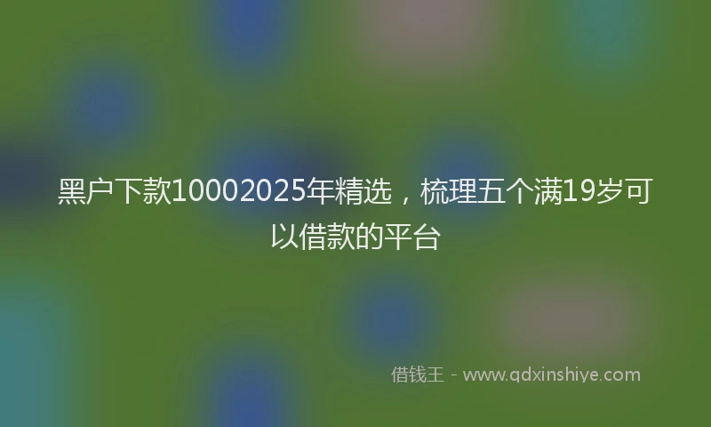 黑户下款10002025年精选，梳理五个满19岁可以借款的平台