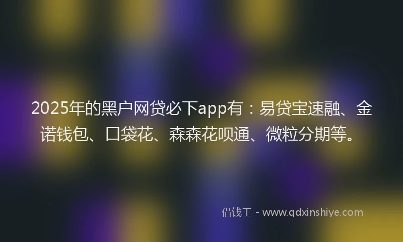 2025年的黑户网贷必下app有：易贷宝速融、金诺钱包、口袋花、森森花呗通、微粒分期等。