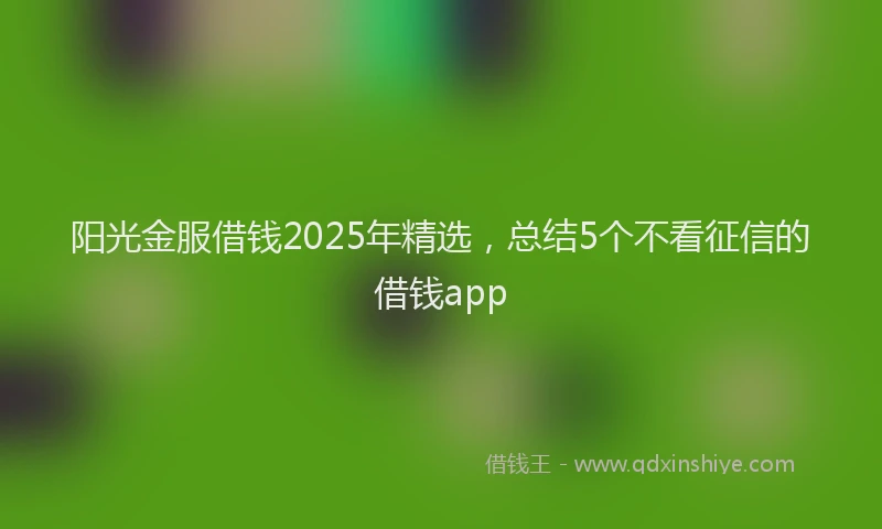 阳光金服借钱2025年精选，总结5个不看征信的借钱app