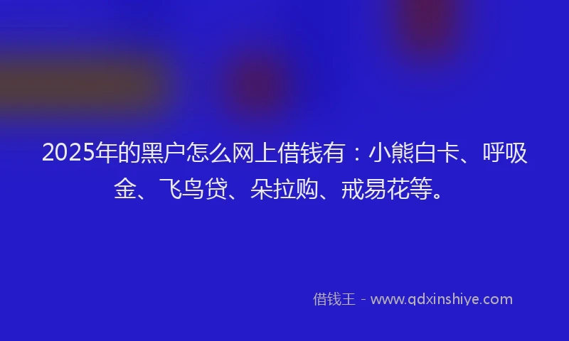 2025年的黑户怎么网上借钱有:小熊白卡、呼吸金、飞鸟贷、朵拉购、戒易花等。