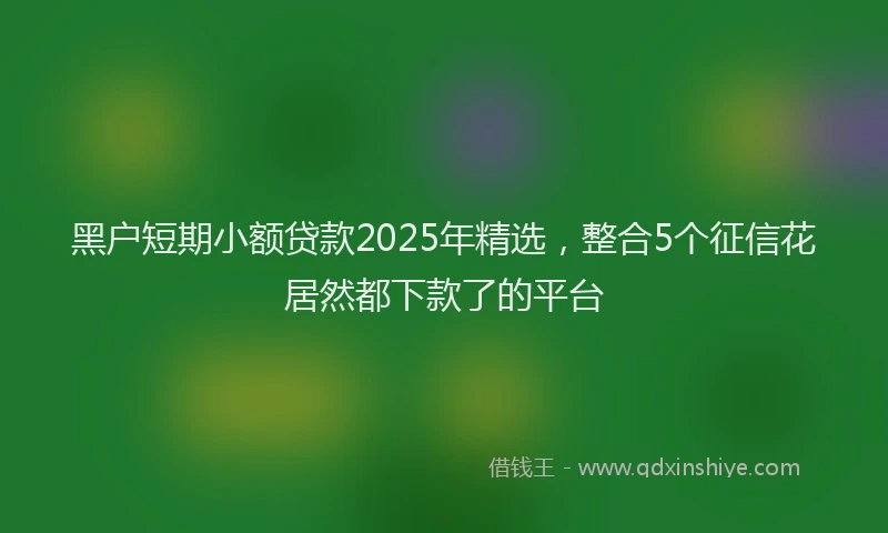 黑户短期小额贷款2025年精选,整合5个征信花居然都下款了的平台