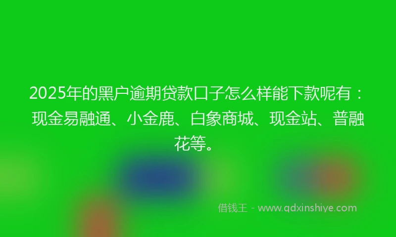 2025年的黑户逾期贷款口子怎么样能下款呢有：现金易融通、小金鹿、白象商城、现金站、普融花等。