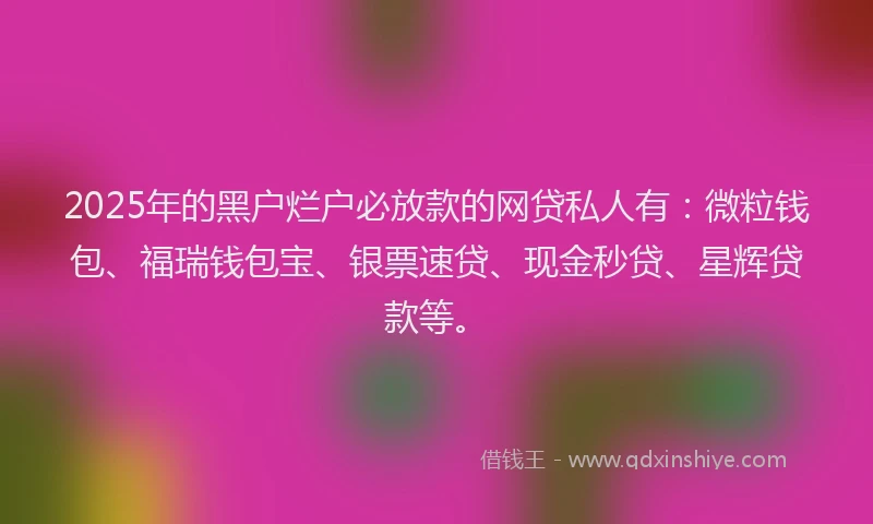 2025年的黑户烂户必放款的网贷私人有：微粒钱包、福瑞钱包宝、银票速贷、现金秒贷、星辉贷款等。