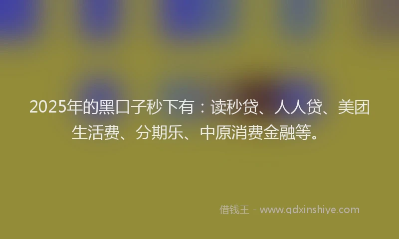 2025年的黑口子秒下有：读秒贷、人人贷、美团生活费、分期乐、中原消费金融等。
