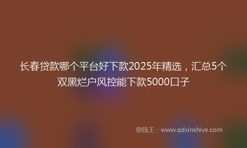 长春贷款哪个平台好下款2025年精选，汇总5个双黑烂户风控能下款5000口子