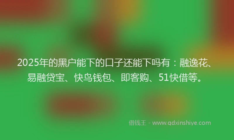2025年的黑户能下的口子还能下吗有：融逸花、易融贷宝、快鸟钱包、即客购、51快借等。