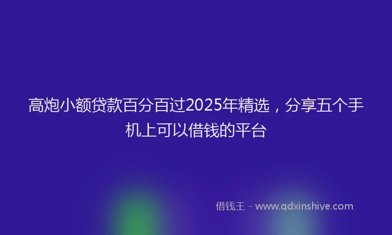 高炮小额贷款百分百过2025年精选，分享五个手机上可以借钱的平台