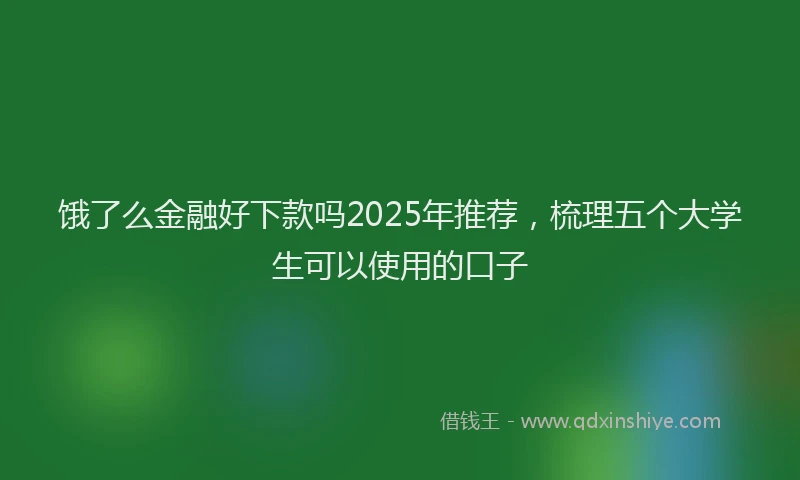 饿了么金融好下款吗2025年推荐，梳理五个大学生可以使用的口子