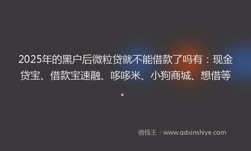 2025年的黑户后微粒贷就不能借款了吗有：现金贷宝、借款宝速融、哆哆米、小狗商城、想借等。