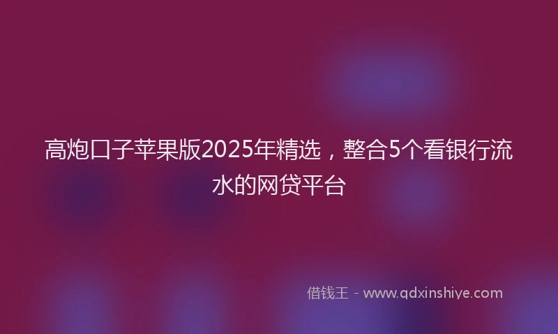 高炮口子苹果版2025年精选，整合5个看银行流水的网贷平台