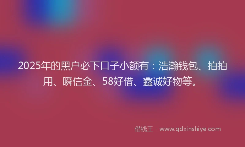 2025年的黑户必下口子小额有：浩瀚钱包、拍拍用、瞬信金、58好借、鑫诚好物等。