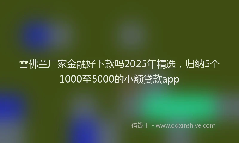 雪佛兰厂家金融好下款吗2025年精选，归纳5个1000至5000的小额贷款app