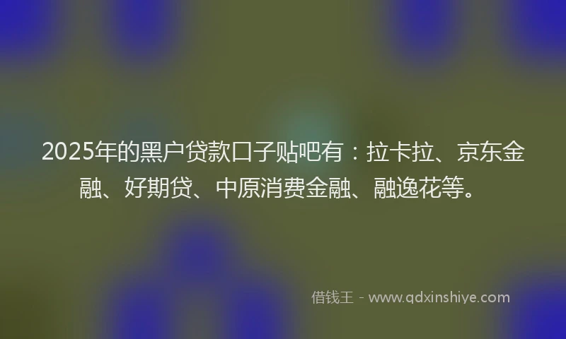 2025年的黑户贷款口子贴吧有：拉卡拉、京东金融、好期贷、中原消费金融、融逸花等。