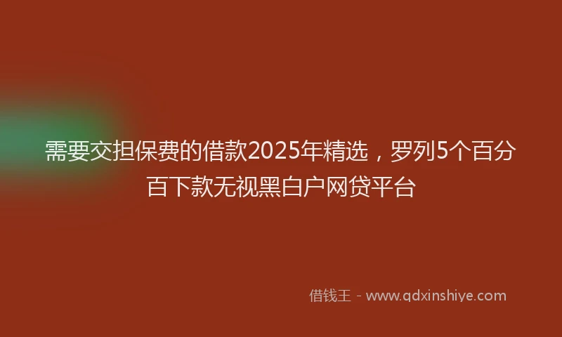 需要交担保费的借款2025年精选，罗列5个百分百下款无视黑白户网贷平台