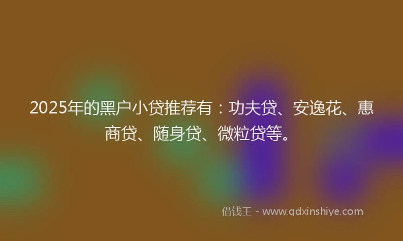2025年的黑户小贷推荐有：功夫贷、安逸花、惠商贷、随身贷、微粒贷等。