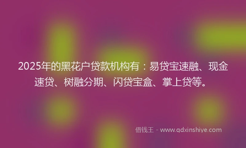 2025年的黑花户贷款机构有：易贷宝速融、现金速贷、树融分期、闪贷宝盒、掌上贷等。