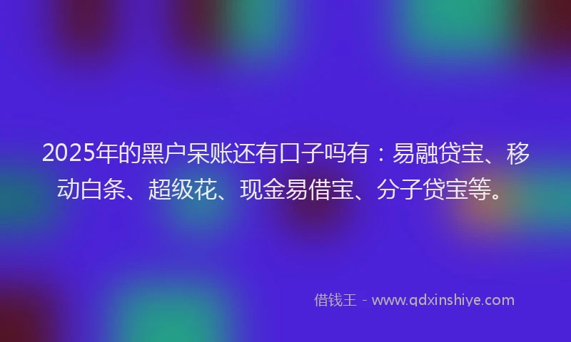 2025年的黑户呆账还有口子吗有：易融贷宝、移动白条、超级花、现金易借宝、分子贷宝等。