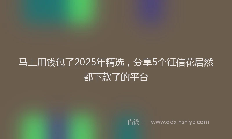 马上用钱包了2025年精选，分享5个征信花居然都下款了的平台